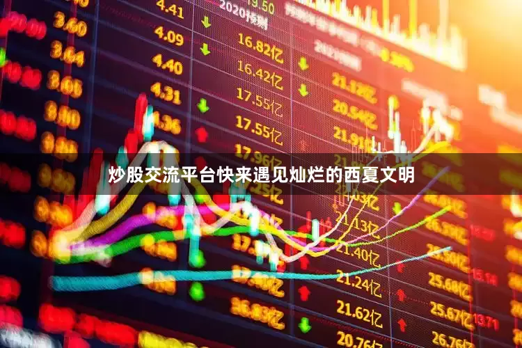 炒股交流平台快来遇见灿烂的西夏文明