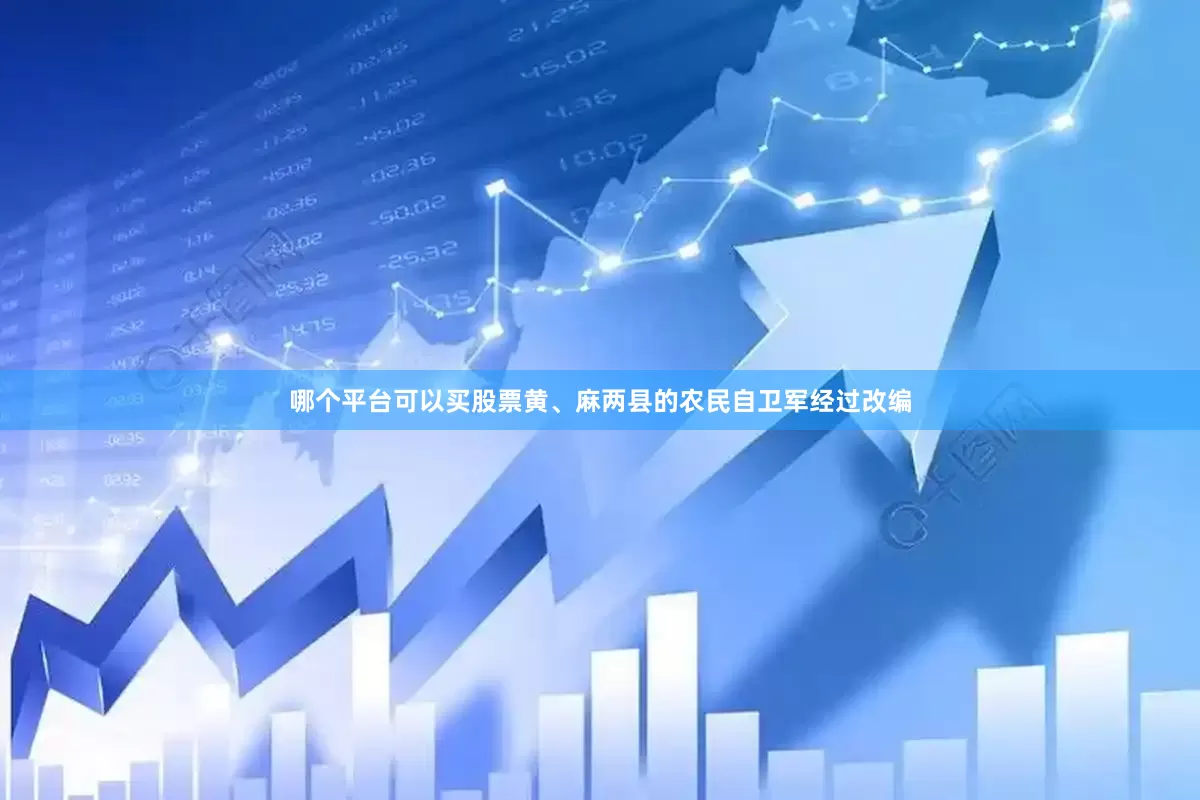 哪个平台可以买股票黄、麻两县的农民自卫军经过改编