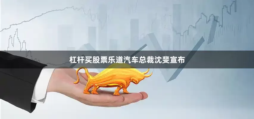 杠杆买股票乐道汽车总裁沈斐宣布