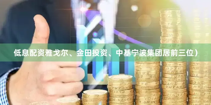 低息配资雅戈尔、金田投资、中基宁波集团居前三位）