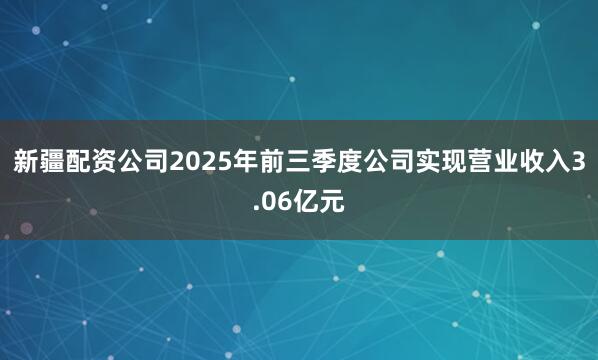 新疆配资公司2025年前三季度公司实现营业收入3.06亿元